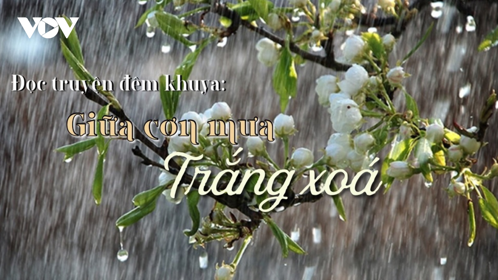 Truyện ngắn "Giữa cơn mưa trắng xoá" - Níu giữ văn hoá buôn làng